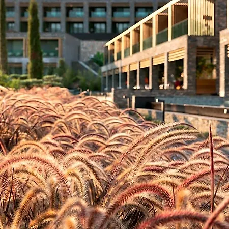 Lujo Art &joy Hotel
